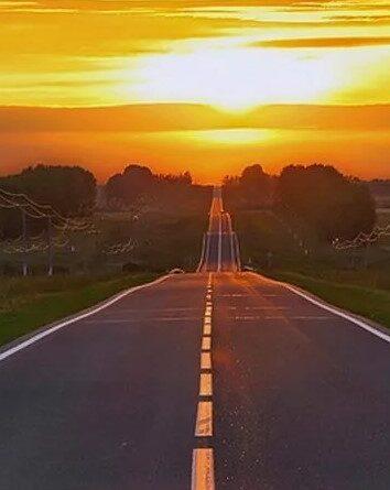 Дорога домой