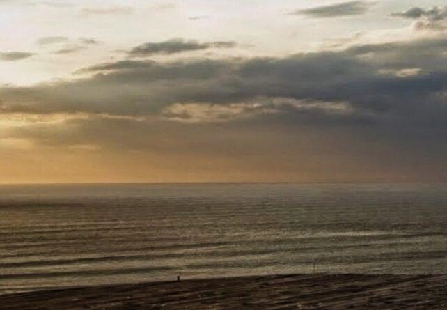 одинокая жизнь